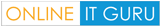 Online IT Guru